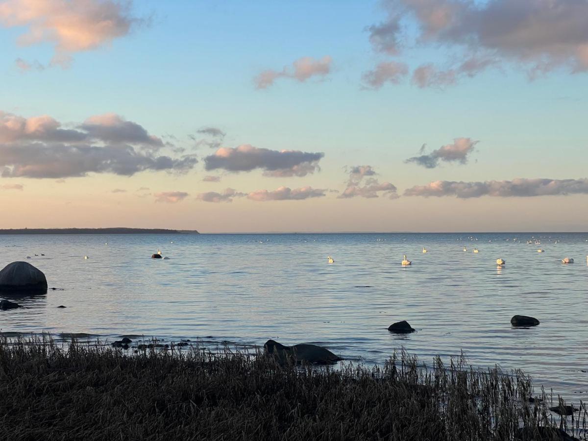 Reet Und Meer Beckerwitz Hohenkirchen  Eksteriør billede